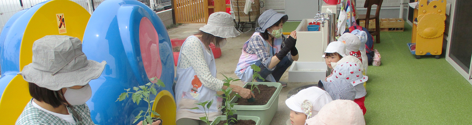 保育内容トップ